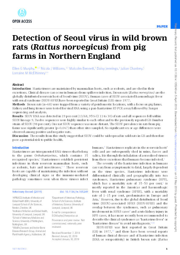 Detection of Seoul virus in wild brown rats (Rattus norvegicus) from pig farms in Northern England Thumbnail