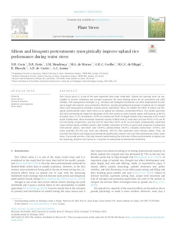 Silicon and bioagents pretreatments synergistically improve upland rice performance during water stress Thumbnail