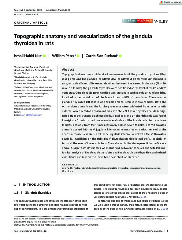 Topographic anatomy and vascularization of the glandula thyroidea in rats Thumbnail