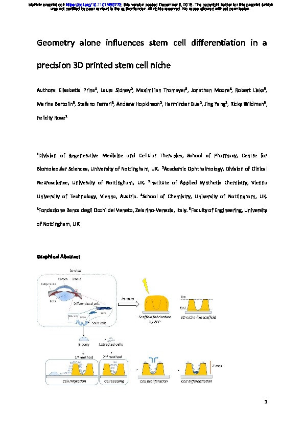 Geometry alone influences stem cell differentiation in a precision 3D printed stem cell niche Thumbnail