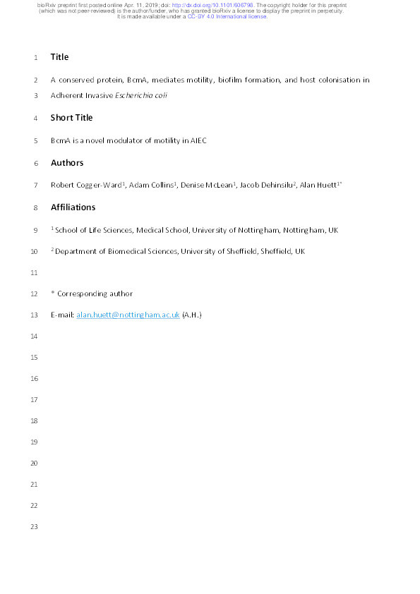 A conserved protein, BcmA, mediates motility, biofilm formation, and host colonisation in Adherent Invasive Escherichia coli Thumbnail