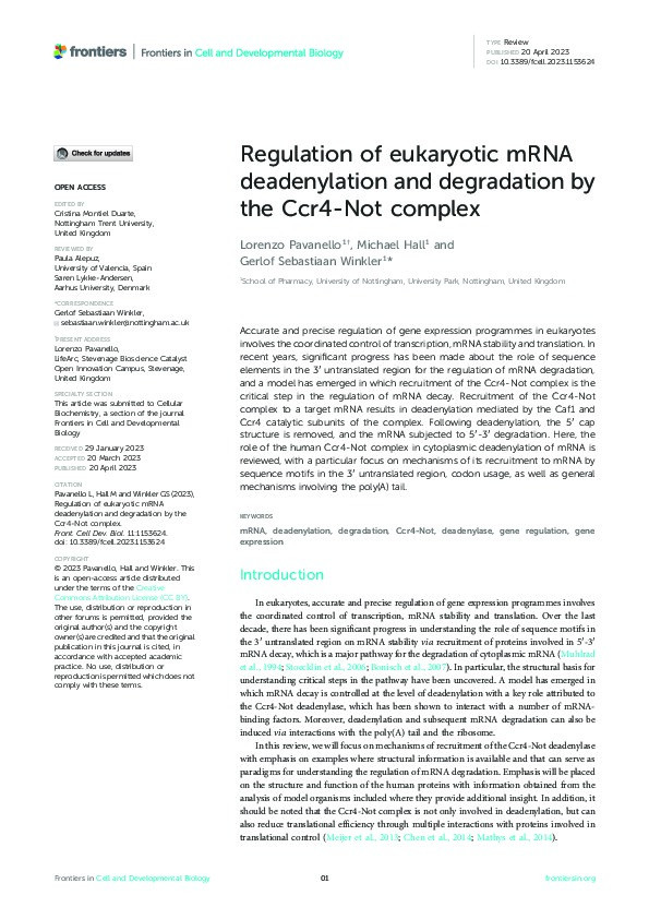 Regulation of eukaryotic mRNA deadenylation and degradation by the Ccr4-Not complex Thumbnail