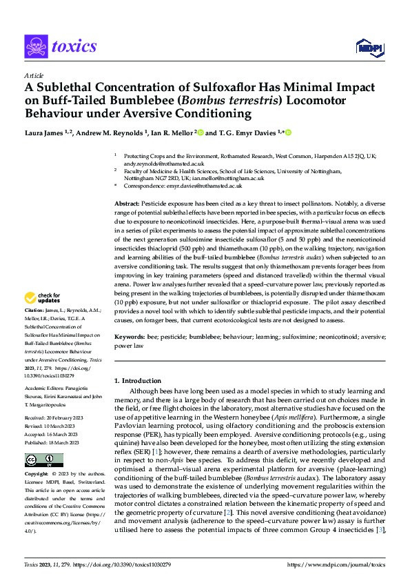 A Sublethal Concentration of Sulfoxaflor Has Minimal Impact on Buff-Tailed Bumblebee (Bombus terrestris) Locomotor Behaviour under Aversive Conditioning Thumbnail