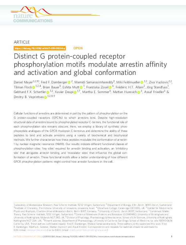 Distinct G protein-coupled receptor phosphorylation motifs modulate arrestin affinity and activation and global conformation Thumbnail