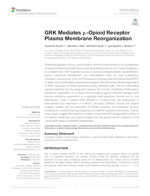 GRK mediates μ-opioid receptor plasma membrane reorganization Thumbnail