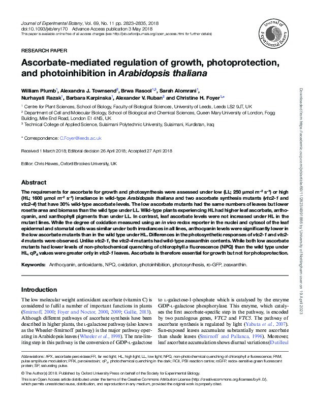 Ascorbate-mediated regulation of growth, photoprotection, and photoinhibition in Arabidopsis thaliana Thumbnail