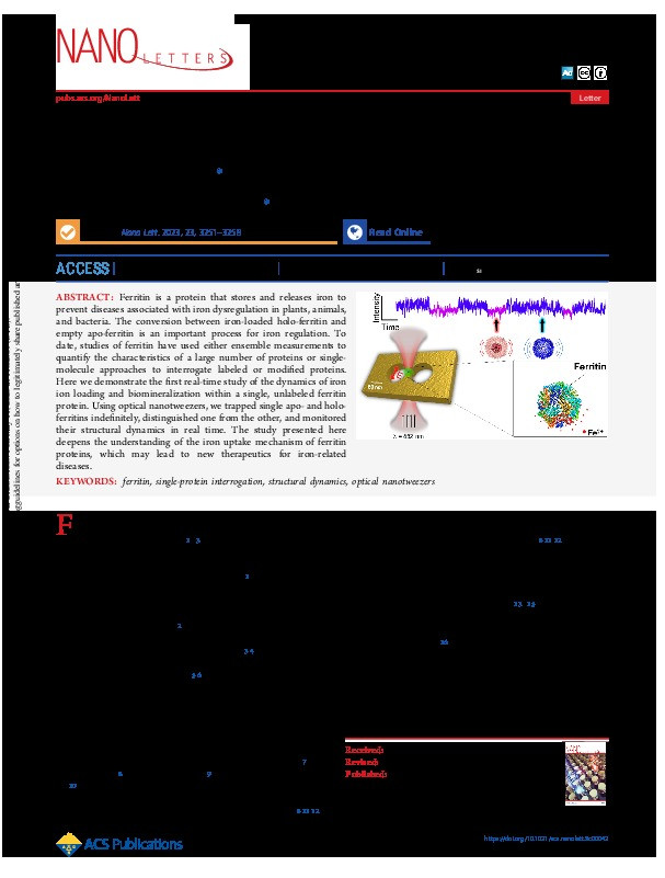 Optical Monitoring of In Situ Iron Loading into Single, Native Ferritin Proteins Thumbnail