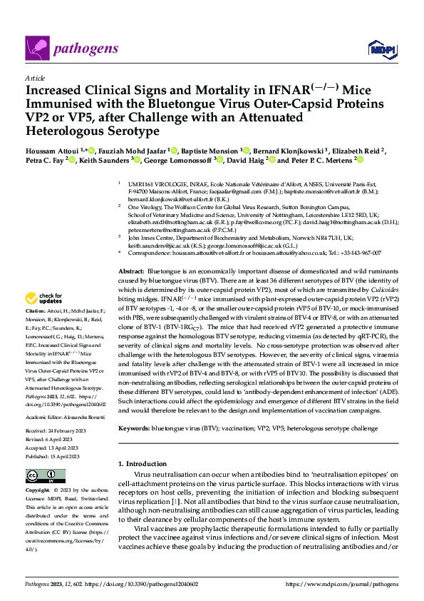 Increased Clinical Signs and Mortality in IFNAR(−/−) Mice Immunised with the Bluetongue Virus Outer-Capsid Proteins VP2 or VP5, after Challenge with an Attenuated Heterologous Serotype Thumbnail