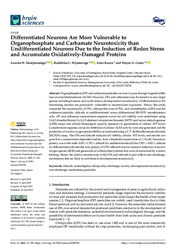Differentiated Neurons Are More Vulnerable to Organophosphate and Carbamate Neurotoxicity than Undifferentiated Neurons Due to the Induction of Redox Stress and Accumulate Oxidatively-Damaged Proteins Thumbnail