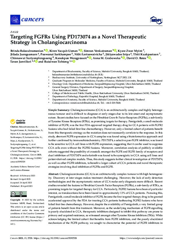 Targeting FGFRs Using PD173074 as a Novel Therapeutic Strategy in Cholangiocarcinoma Thumbnail