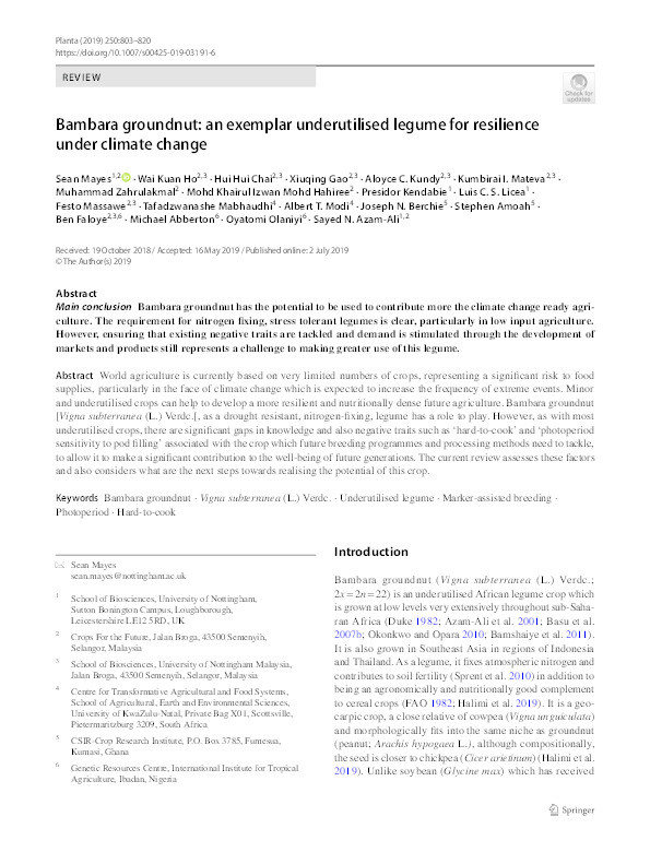 Bambara groundnut : an exemplar underutilised legume for resilience under climate change Thumbnail