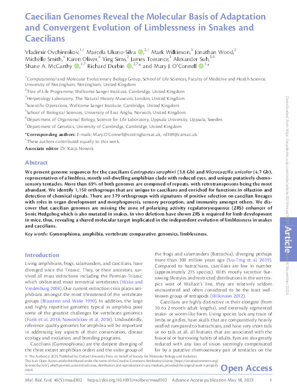 Caecilian Genomes Reveal the Molecular Basis of Adaptation and Convergent Evolution of Limblessness in Snakes and Caecilians Thumbnail