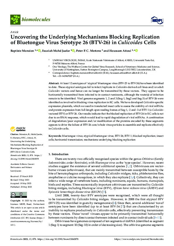 Uncovering the Underlying Mechanisms Blocking Replication of Bluetongue Virus Serotype 26 (BTV-26) in Culicoides Cells Thumbnail