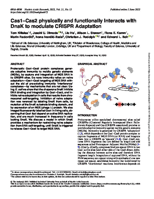 Cas1-Cas2 physically and functionally interacts with DnaK to modulate CRISPR Adaptation Thumbnail