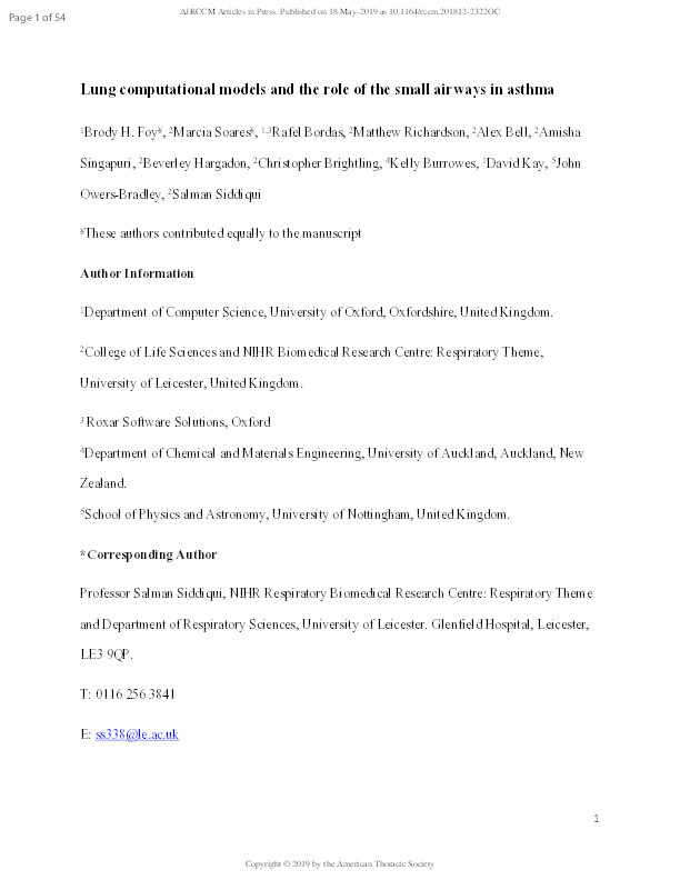 Lung Computational Models and the Role of the Small Airways in Asthma Thumbnail