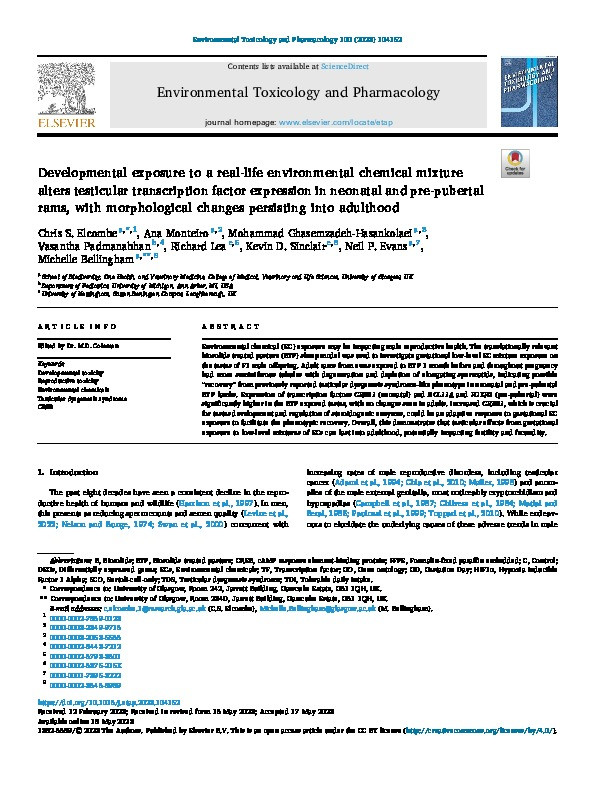 Developmental exposure to a real-life environmental chemical mixture alters testicular transcription factor expression in neonatal and pre-pubertal rams, with morphological changes persisting into adulthood Thumbnail