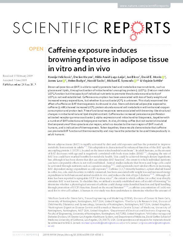 Caffeine exposure induces browning features in adipose tissue in vitro and in vivo Thumbnail