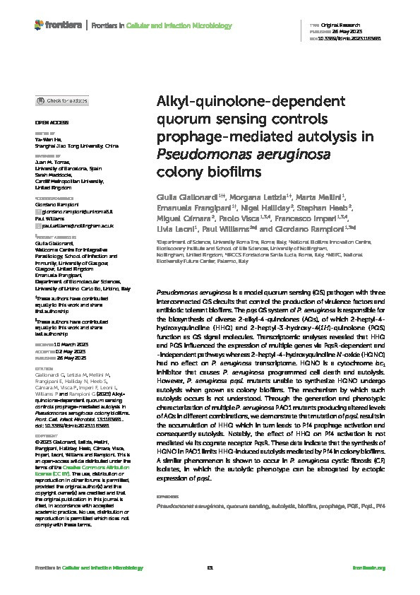 Alkyl-quinolone-dependent quorum sensing controls prophage-mediated autolysis in Pseudomonas aeruginosa colony biofilms Thumbnail