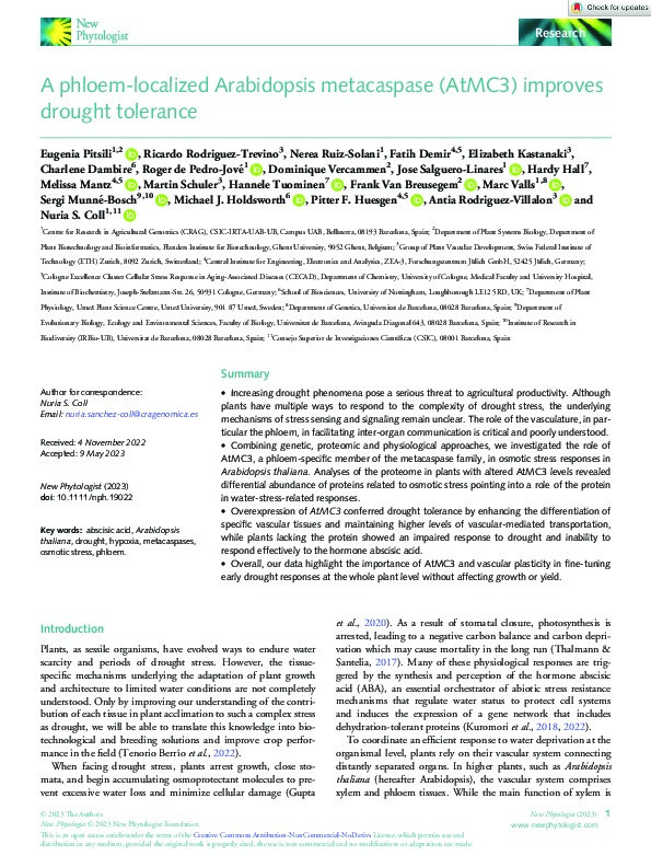 A phloem‐localized Arabidopsis metacaspase (AtMC3) improves drought tolerance Thumbnail