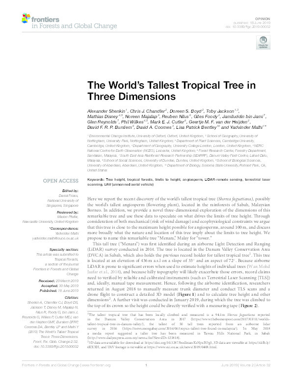 The World's Tallest Tropical Tree in Three Dimensions Thumbnail