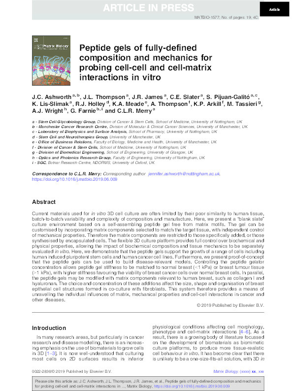 Peptide gels of fully-defined composition and mechanics for probing cell-cell and cell-matrix interactions in vitro Thumbnail