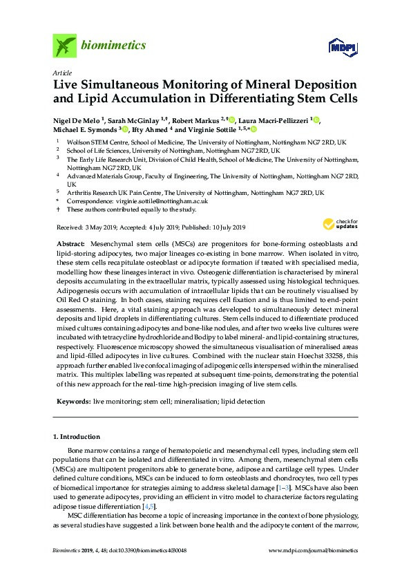 Live Simultaneous Monitoring of Mineral Deposition and Lipid Accumulation in Differentiating Stem Cells Thumbnail