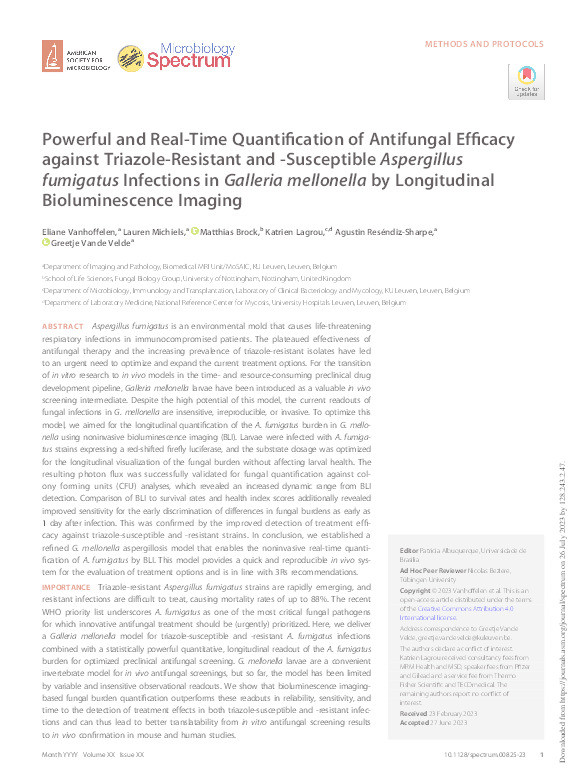 Powerful and Real-Time Quantification of Antifungal Efficacy against Triazole-Resistant and -Susceptible Aspergillus fumigatus Infections in Galleria mellonella by Longitudinal Bioluminescence Imaging. Thumbnail