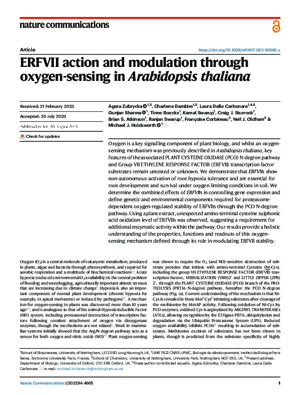 ERFVII action and modulation through oxygen-sensing in Arabidopsis thaliana Thumbnail