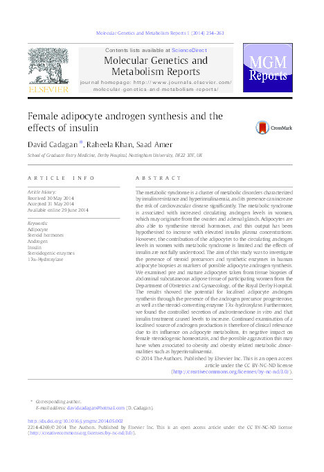 Female adipocyte androgen synthesis and the effects of insulin Thumbnail