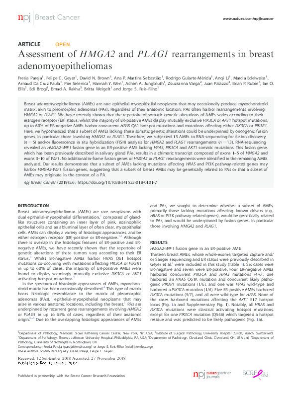 Assessment of HMGA2 and PLAG1 rearrangements in breast adenomyoepitheliomas Thumbnail