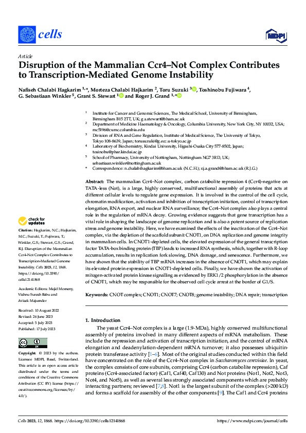 Disruption of the Mammalian Ccr4–Not Complex Contributes to Transcription-Mediated Genome Instability Thumbnail