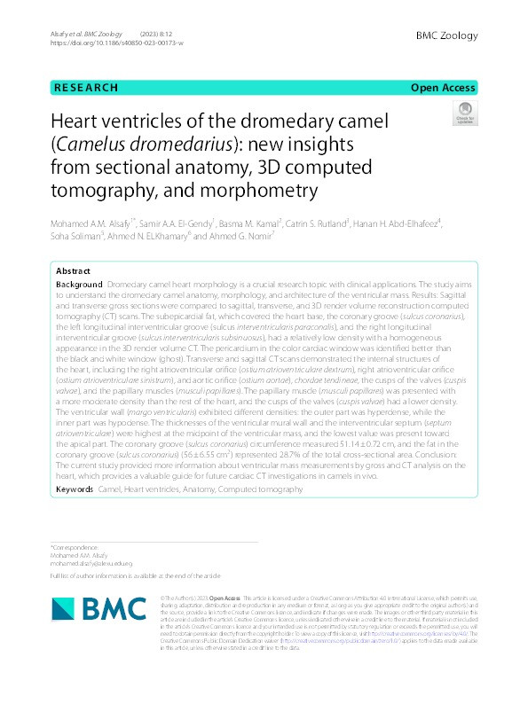 Heart ventricles of the dromedary camel (Camelus dromedarius): new insights from sectional anatomy, 3D computed tomography, and morphometry Thumbnail