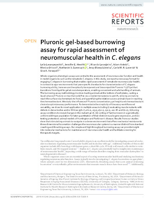 Pluronic gel-based burrowing assay for rapid assessment of neuromuscular health in C. elegans Thumbnail