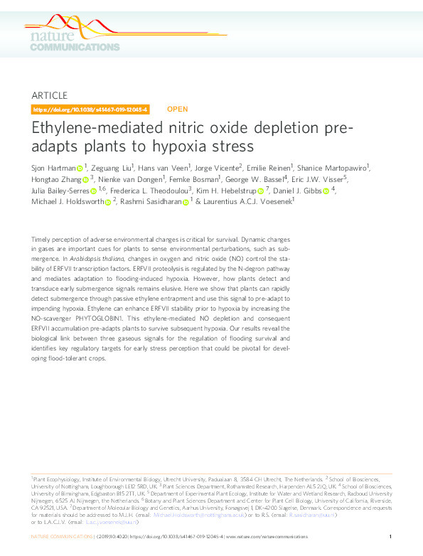 Ethylene-mediated nitric oxide depletion pre-adapts plants to hypoxia stress Thumbnail