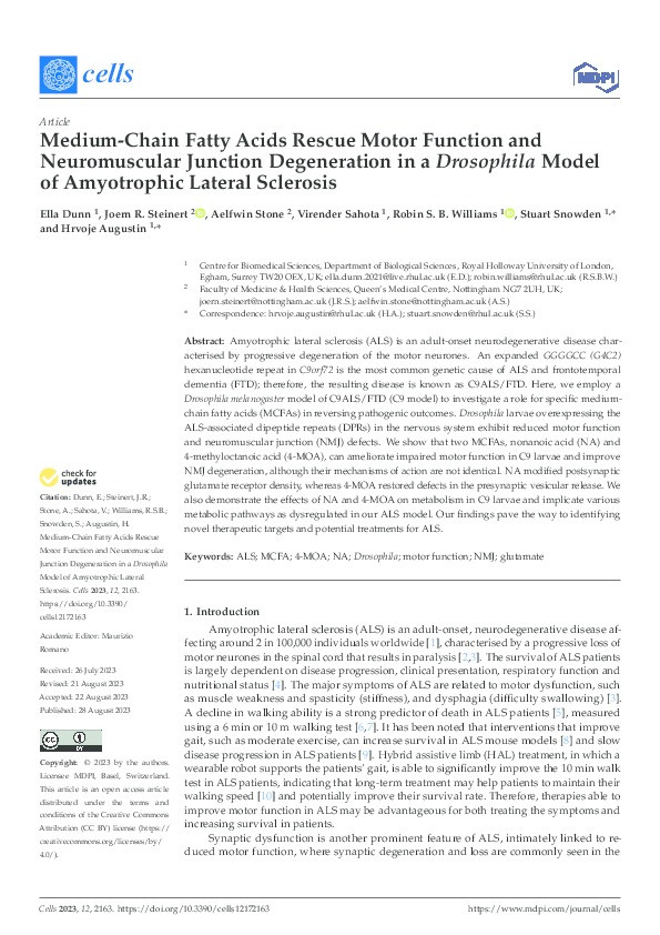 Medium-Chain Fatty Acids Rescue Motor Function and Neuromuscular Junction Degeneration in a Drosophila Model of Amyotrophic Lateral Sclerosis Thumbnail