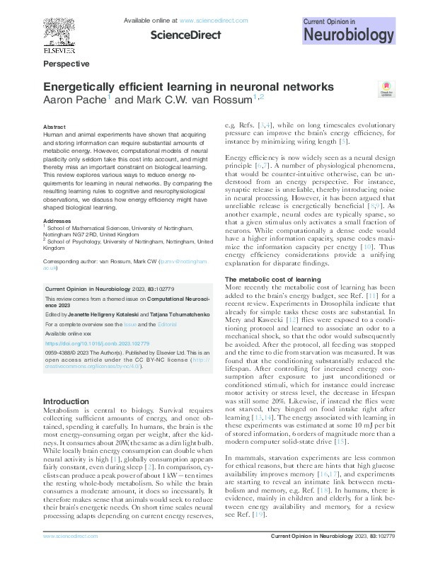 Energetically efficient learning in neuronal networks Thumbnail