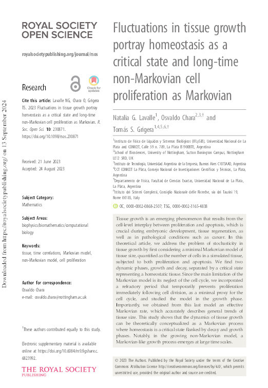 Fluctuations in tissue growth portray homeostasis as a critical state and long-time non-Markovian cell proliferation as Markovian Thumbnail