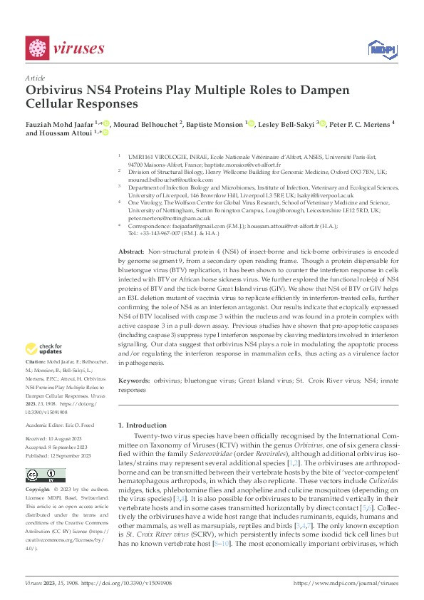 Orbivirus NS4 Proteins Play Multiple Roles to Dampen Cellular Responses Thumbnail