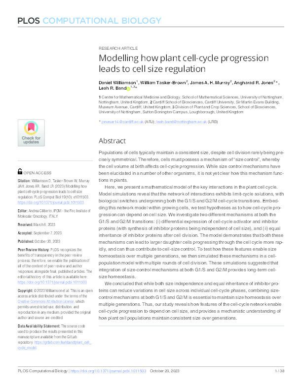 Modelling how plant cell-cycle progression leads to cell size regulation Thumbnail