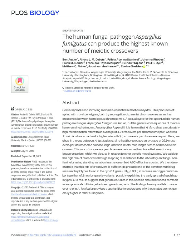 The human fungal pathogen Aspergillus fumigatus can produce the highest known number of meiotic crossovers Thumbnail