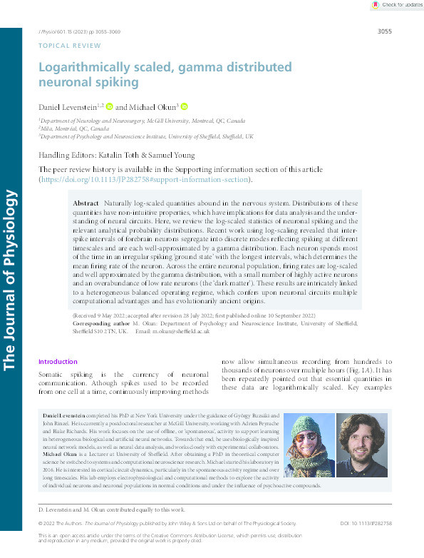 Logarithmically scaled, gamma distributed neuronal spiking Thumbnail