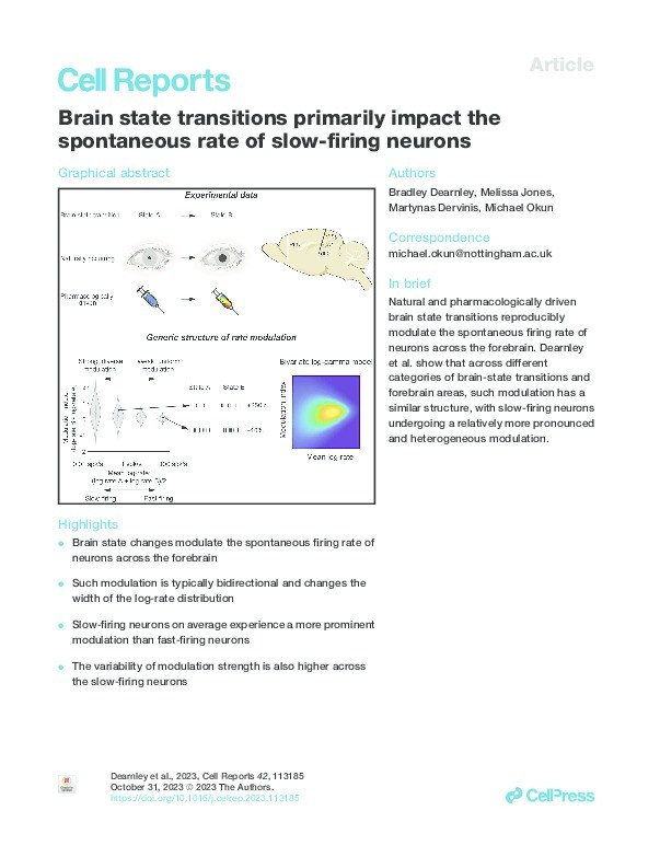 Brain state transitions primarily impact the spontaneous rate of slow-firing neurons Thumbnail