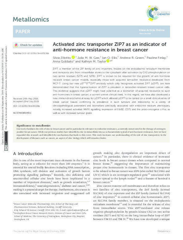 Activated zinc transporter ZIP7 as an indicator of anti-hormone resistance in breast cancer Thumbnail