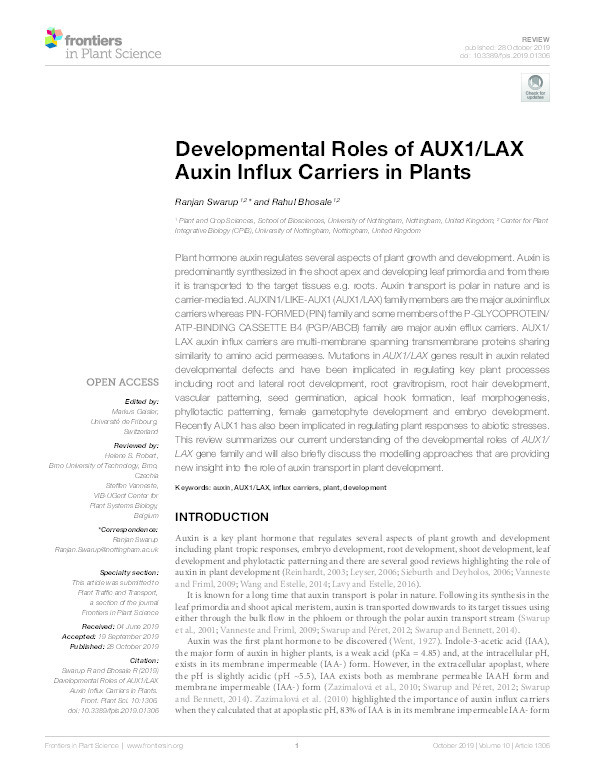 Developmental roles of AUX1/LAX auxin influx carriers in plants Thumbnail