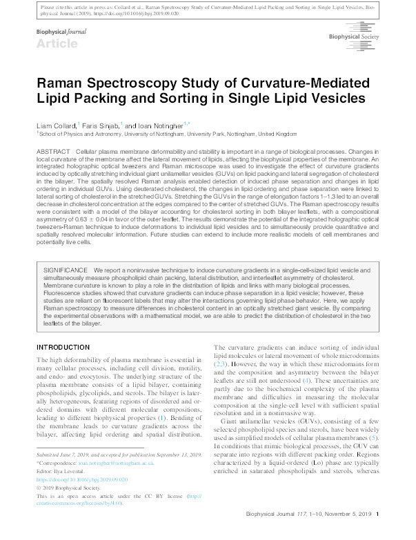 Raman spectroscopy study of curvature-mediated lipid packing and sorting in single lipid vesicles Thumbnail