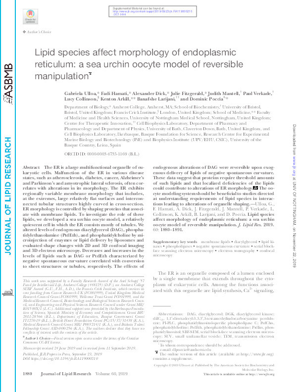 Lipid species affect morphology of endoplasmic reticulum: a sea urchin oocyte model of reversible manipulation Thumbnail