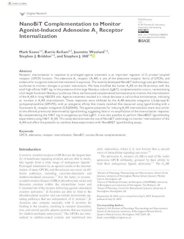 NanoBiT Complementation to Monitor Agonist-Induced Adenosine A1 Receptor Internalization Thumbnail