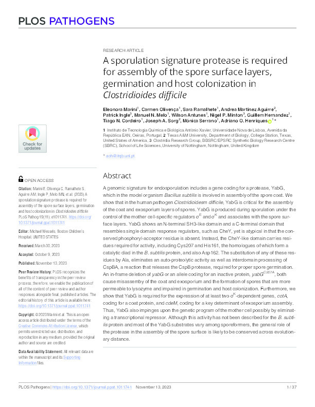 A sporulation signature protease is required for assembly of the spore surface layers, germination and host colonization in Clostridioides difficile Thumbnail