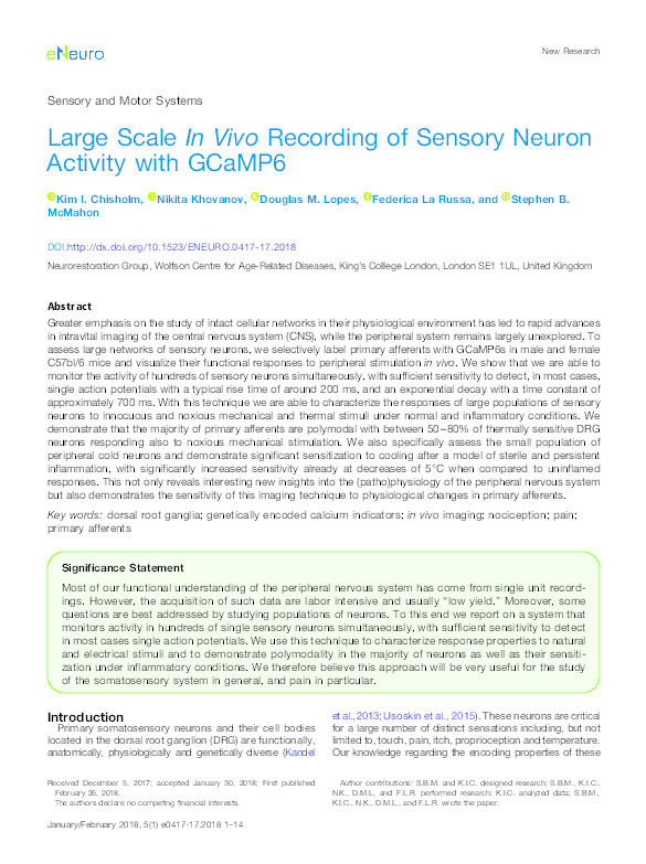 Large Scale In Vivo Recording of Sensory Neuron Activity with GCaMP6 Thumbnail