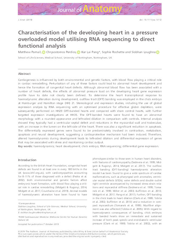 Characterisation of the developing heart in a pressure overloaded model utilising RNA sequencing to direct functional analysis Thumbnail